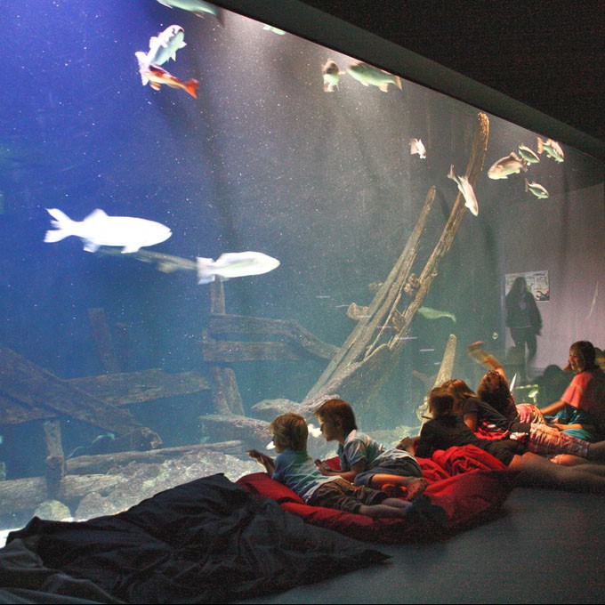 bezoek het aquarium op Ameland met kinderen
