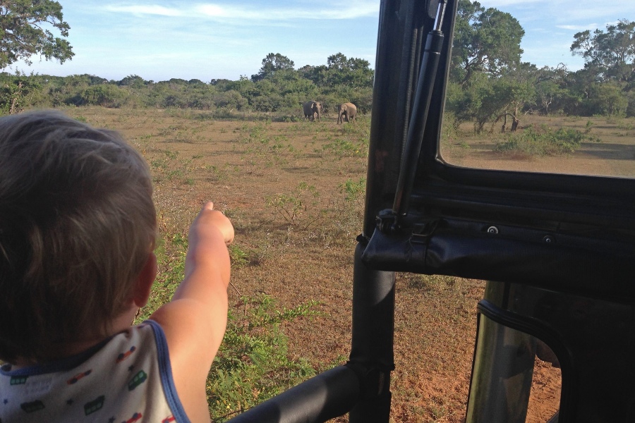 jaja! We spotten olifanten in Yala met kinderen