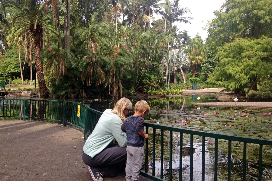 Botanische tuin in Brisbane