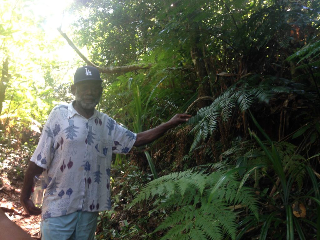 Jungle walk op Fiji