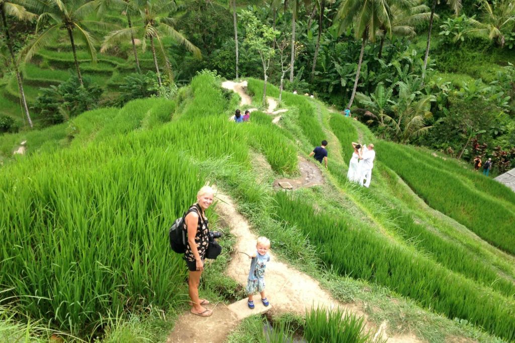 Rijstterassen genoeg tijdens je reis over Bali met kinderen