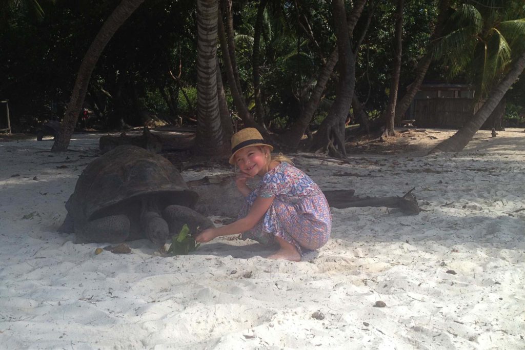Schildpadden voeren op de Seychellen met kinderen