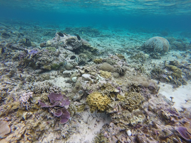 De onderwaterwereld van de Gili eilanden