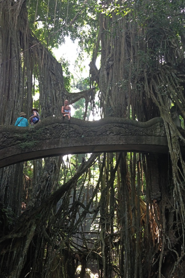 Monkey Forest ontbreekt niet tijdens onze vakantie Bali met kind