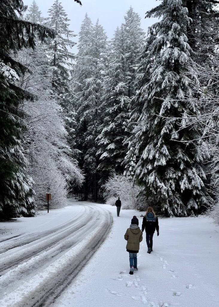 Door Oregon met kinderen betekend ook kans op sneeuw...
