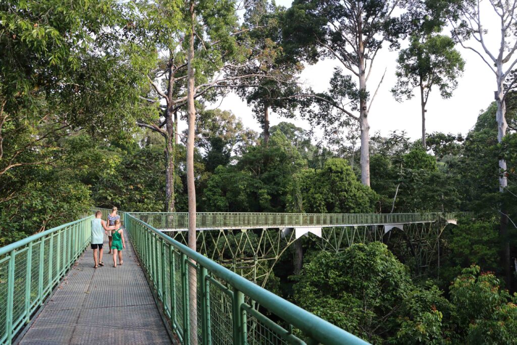 Borneo met kinderen - hangbrug in de jungle