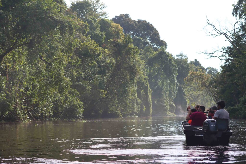 Borneo met kinderen - jungle vanuit de boot
