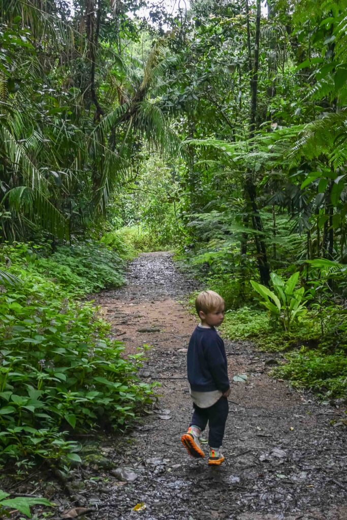Rondreis Sri Lanka met kinderen - met kinderen in de jungle
