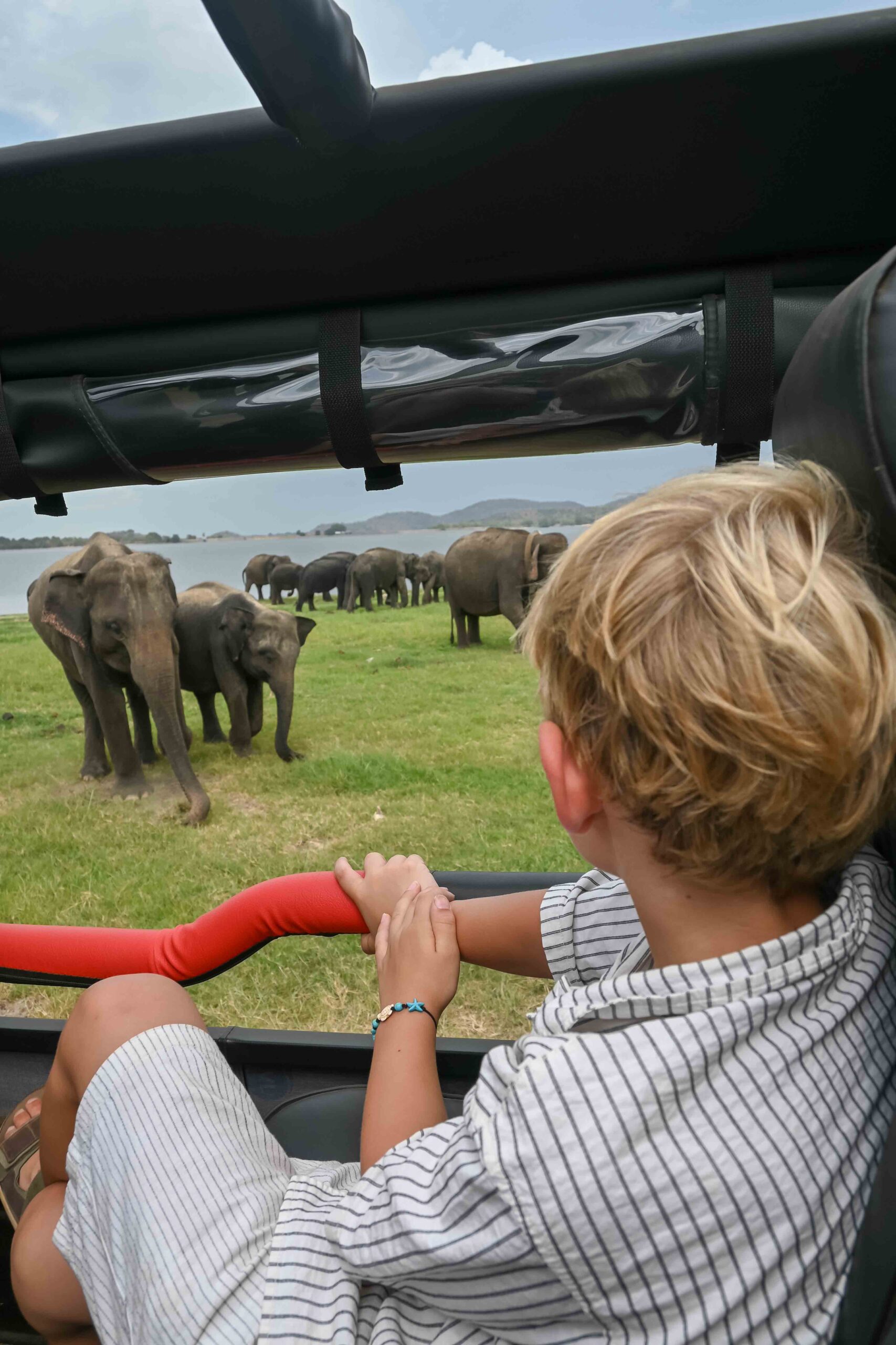 Rondreis Sri Lanka met kinderen - op safari