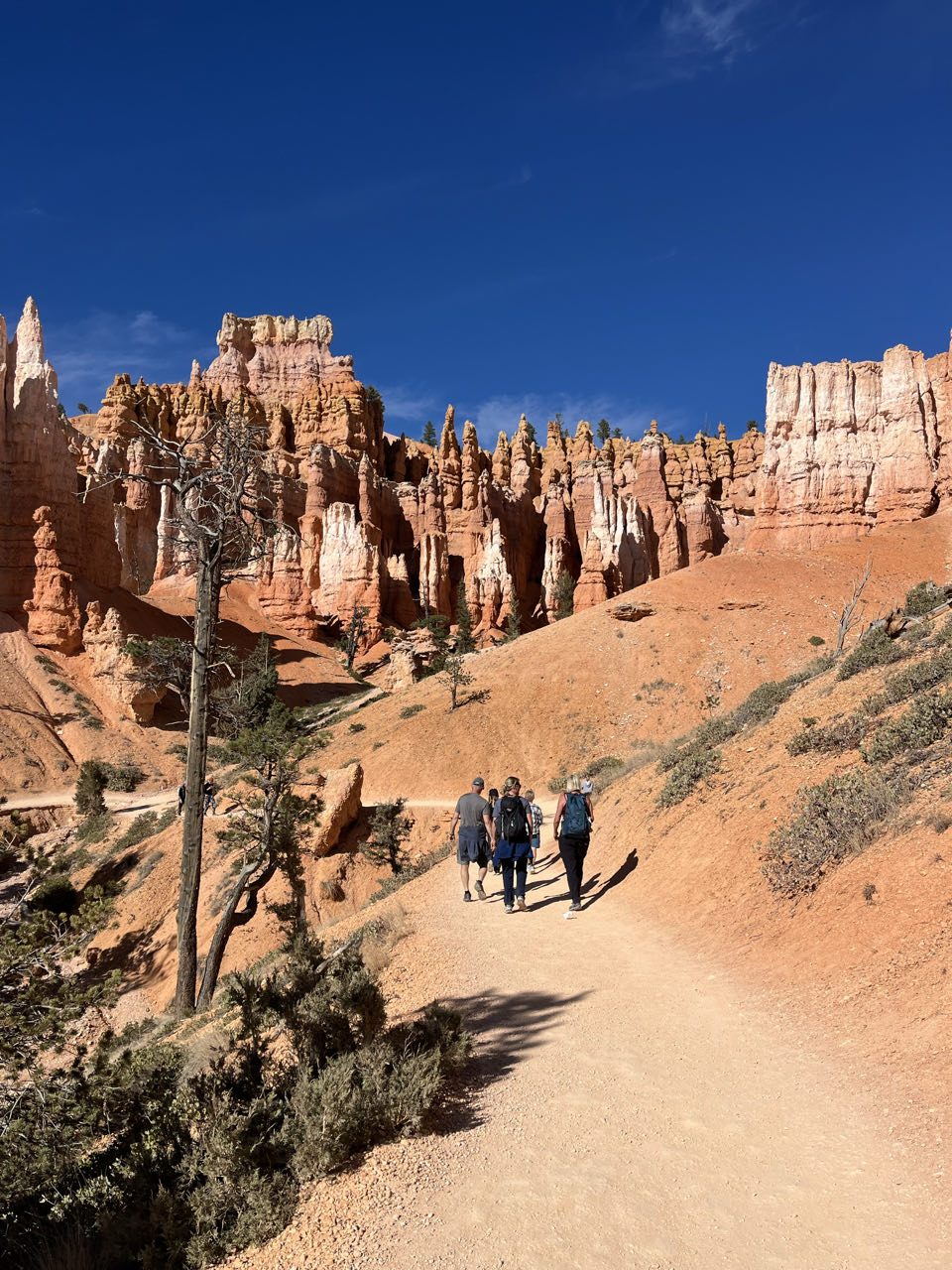 Nationale Parkenpas Amerika duurder; Bryce Canyon NP