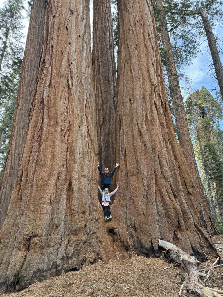 Nationale Parkenpas Amerika duurder - Sequoia NP