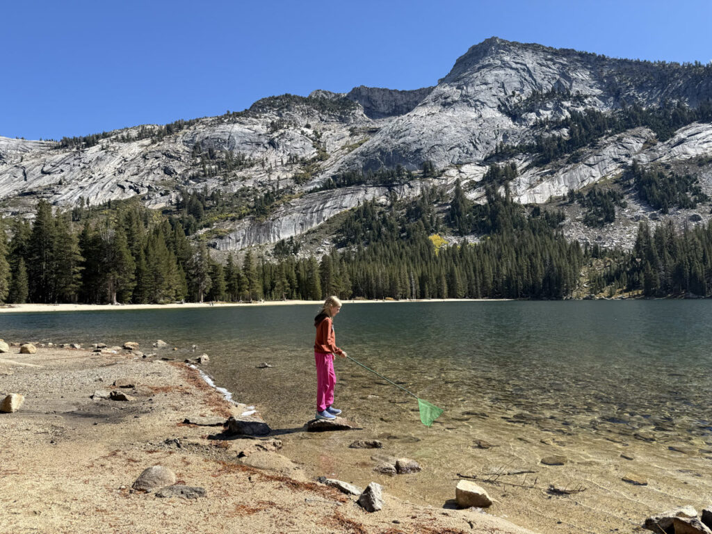 Nationale Parkenpas Amerika duurder - Yosemite NP