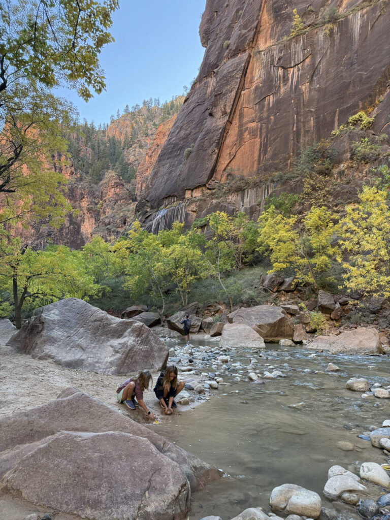 Nationale Parkenpas Amerika duurder - Zion NP