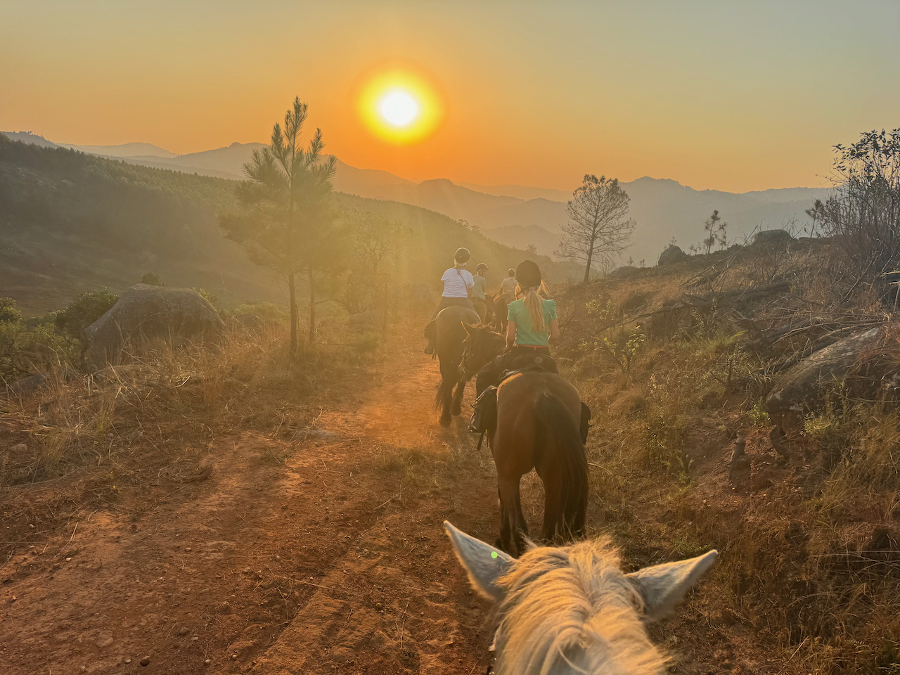 paardrijden in eSwatini